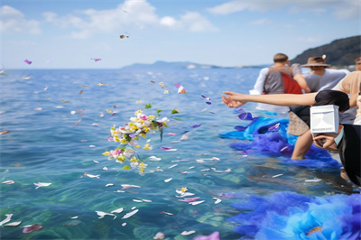 海撒海葬鲜花花瓣