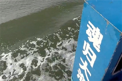 海撒具体流程是什么样的？有什么注意事项？