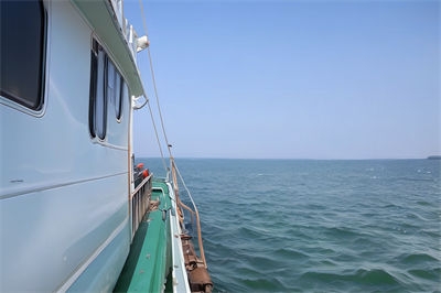 骨灰撒海需要多少费用？把骨灰撒入大海需要什么手续？