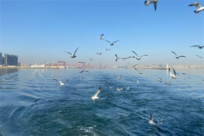 在北京参加海葬的费用大概是多少？海葬和买墓地相比哪个更好？