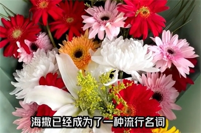 北京市骨灰海撒办公室有几个？北京骨灰海葬登记处在哪？