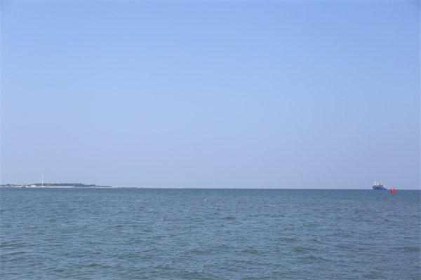 北京市海撒办公室-1