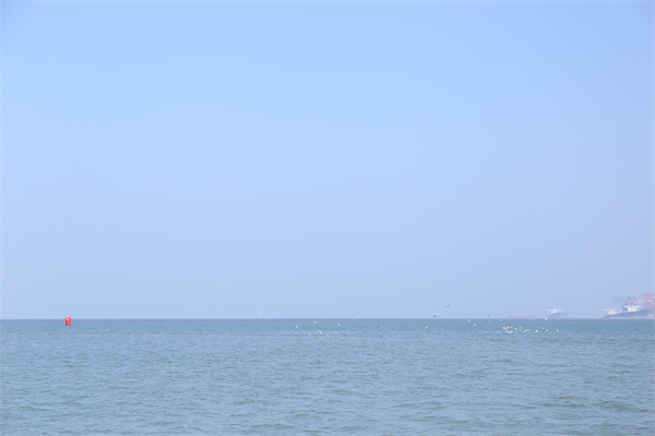 海葬的人不用轮回