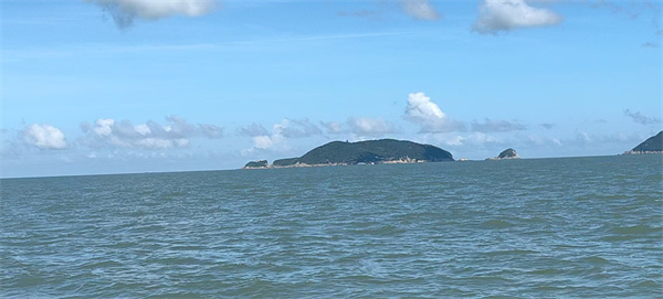 天津海撒哪里可办