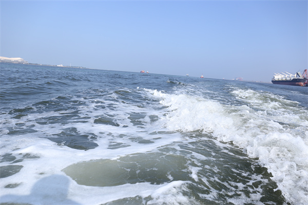 海葬的流程是怎样的