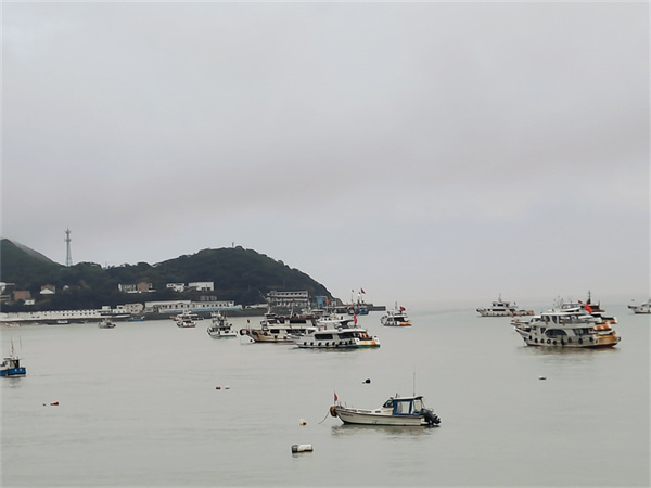 海葬和树葬哪个便宜点