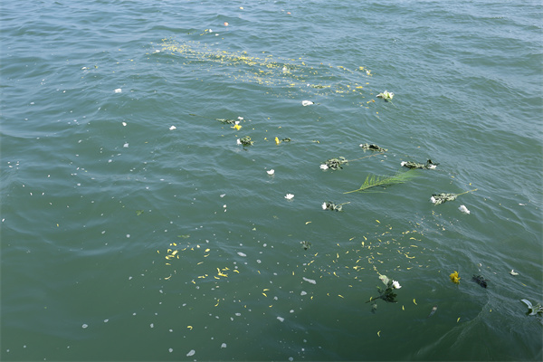 骨灰撒海纪念碑