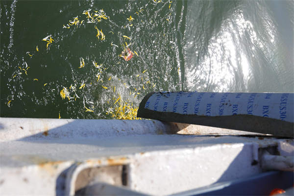 连云港有没有海葬的地方啊