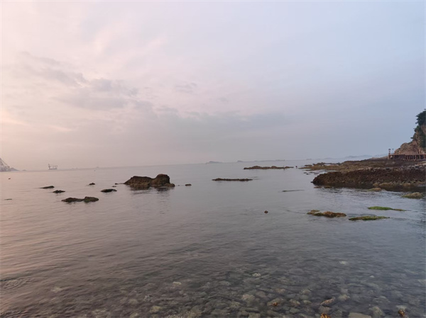 北京骨灰海撒日期