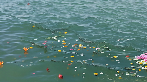 中国能不能海葬