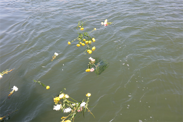 北京市海淀区殡仪馆海撒办公室 电话