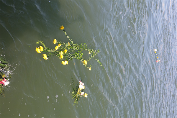 北京骨灰海撒费用收费标准如何-2