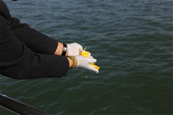 一对一海葬费用大概是多少