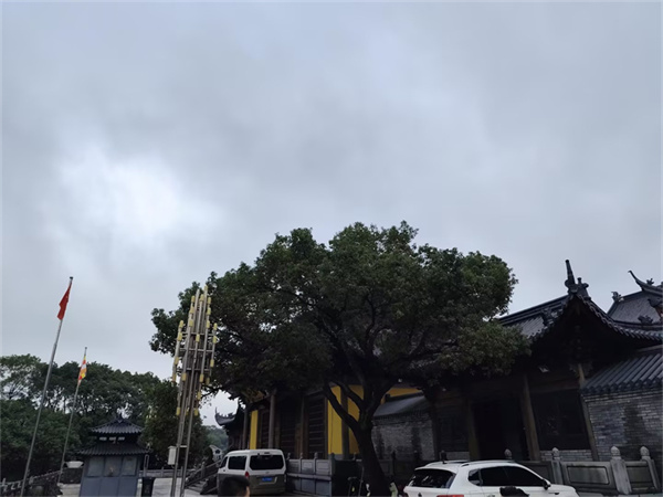 浙江海葬需要多少费用