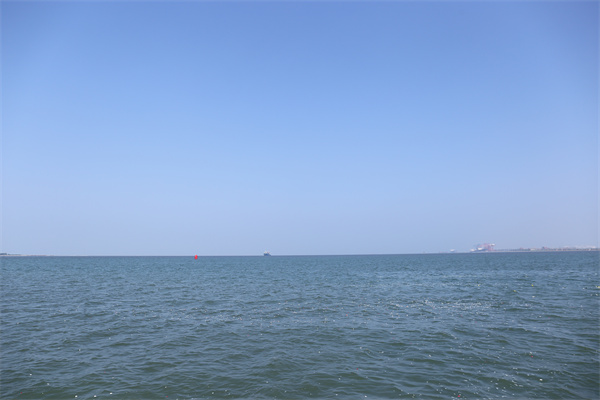 需要海葬和哪联系电话是多少