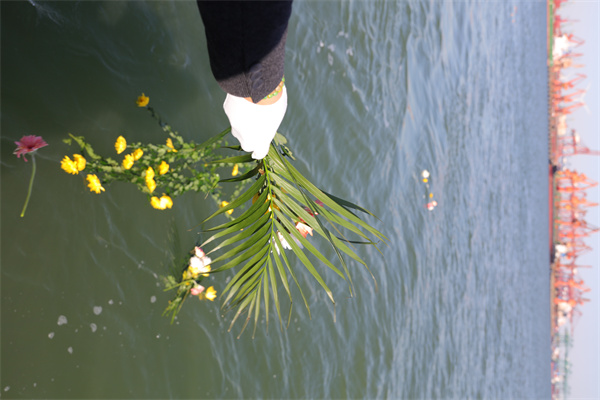 把人的骨灰撒进海里