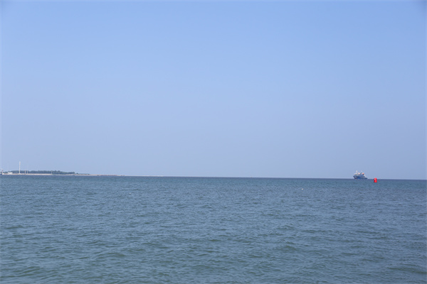 把骨灰撒入大海违法吗
