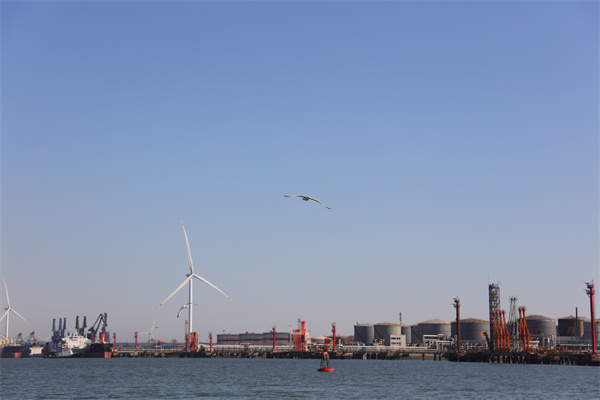 天津海葬在什么地方