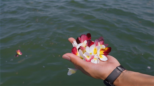 中国殡葬协会 海葬-1