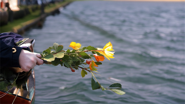 海葬去哪里申请 北京