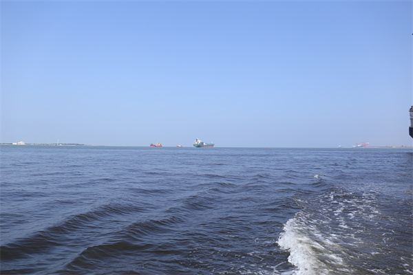 为什么有的人骨灰要撒海里