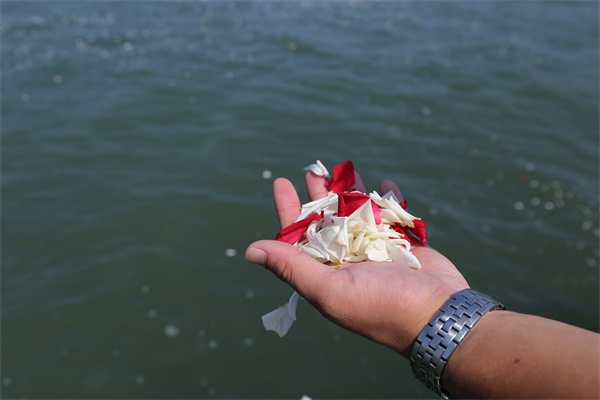 2024天津海葬海撒电话